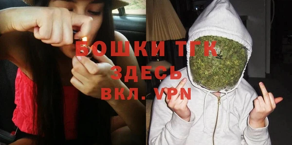ALPHA PVP Богородицк