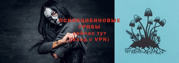 ALPHA PVP Богородицк