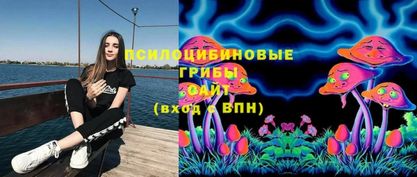 ALPHA PVP Богородицк