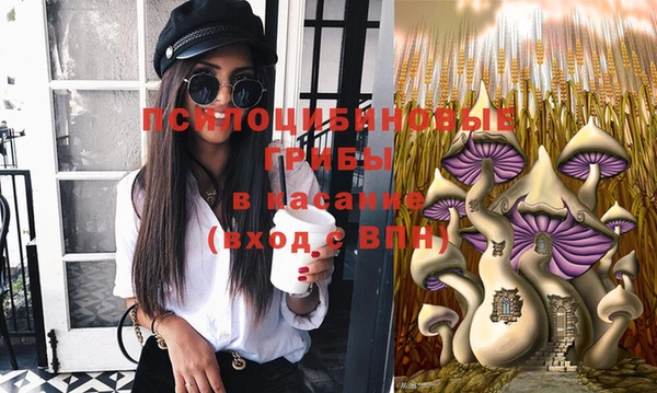 круглые Богданович